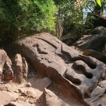 Crocodile of Wat Phou