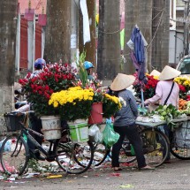 Flower market of Lao Cai