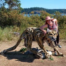 Cougar in Campbell River