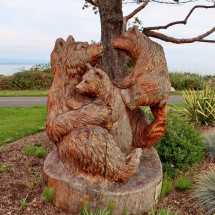 Wooden Bear family south of Campbell River