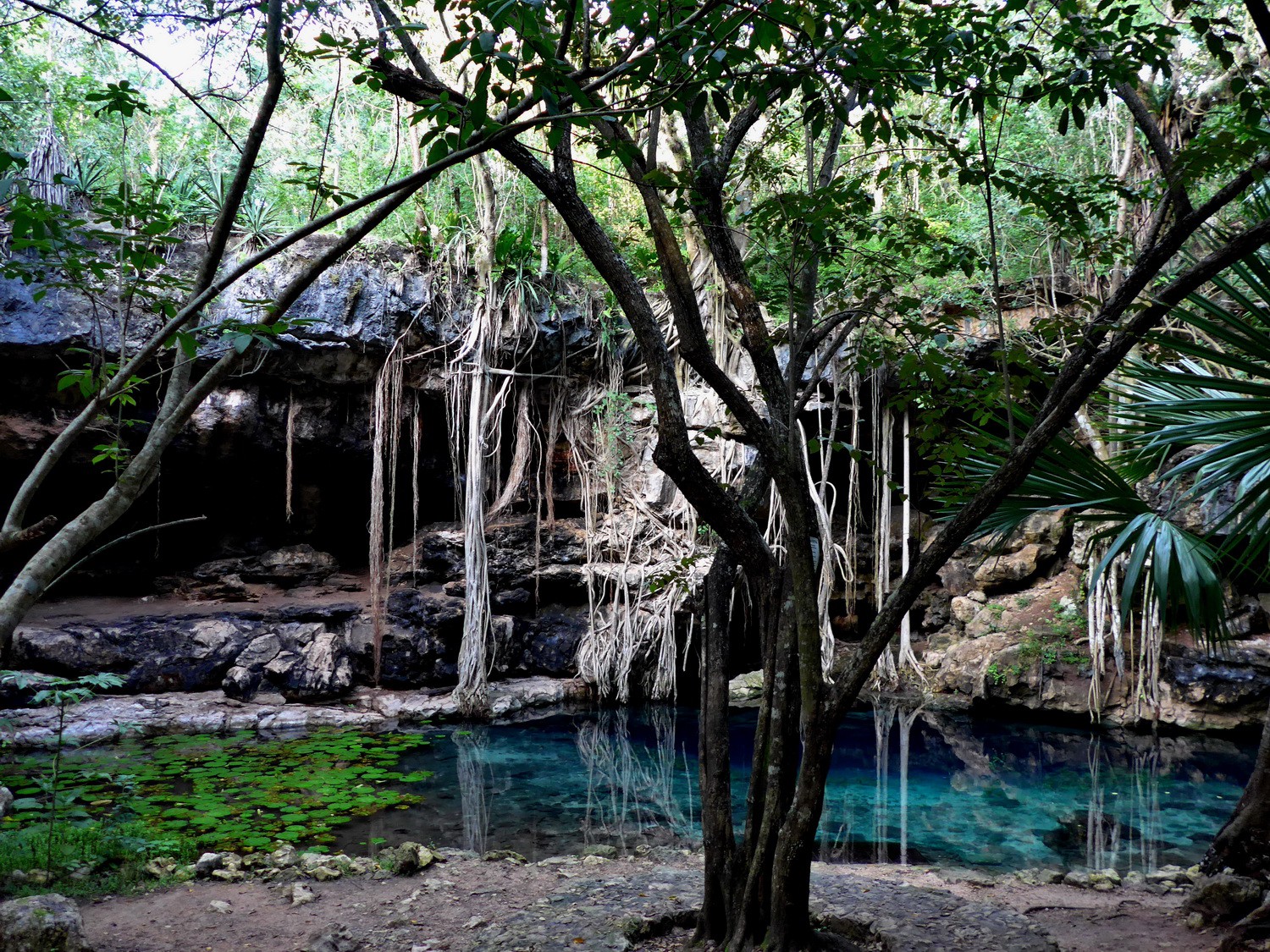 Cenote X'Batun