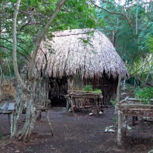 Typical shelter of the indigenous Maya people