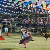 A bullfight