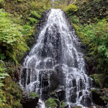 Fairy Falls (above Wahkeena Falls)