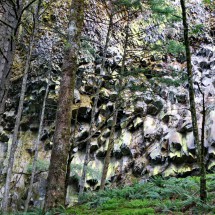 Basalt Columns close to Horsetail Falls