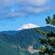 Icy Mount Adams seen from Wind Mountain
