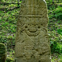 Stela in Yax-Ha - of a king?