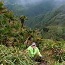 Marion in the steep slopes of Cerro Gaital, the highest mountain in the area of El Valle de Antón