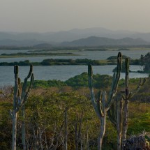 Landscape of the Volcán de Lodo El Totumo