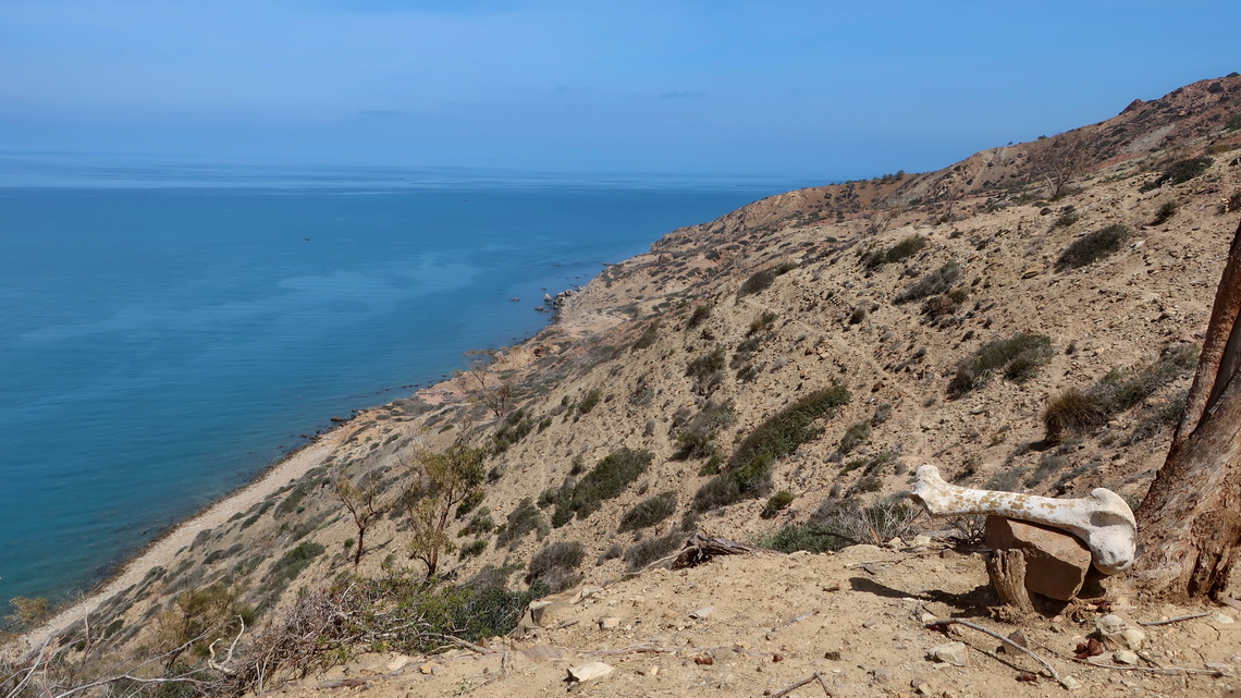 Bone with the coast between Torres de-Alcala and Cala Iris