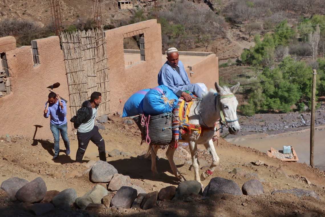 A lot of transportation in Imlil is still done with donkeys and mules