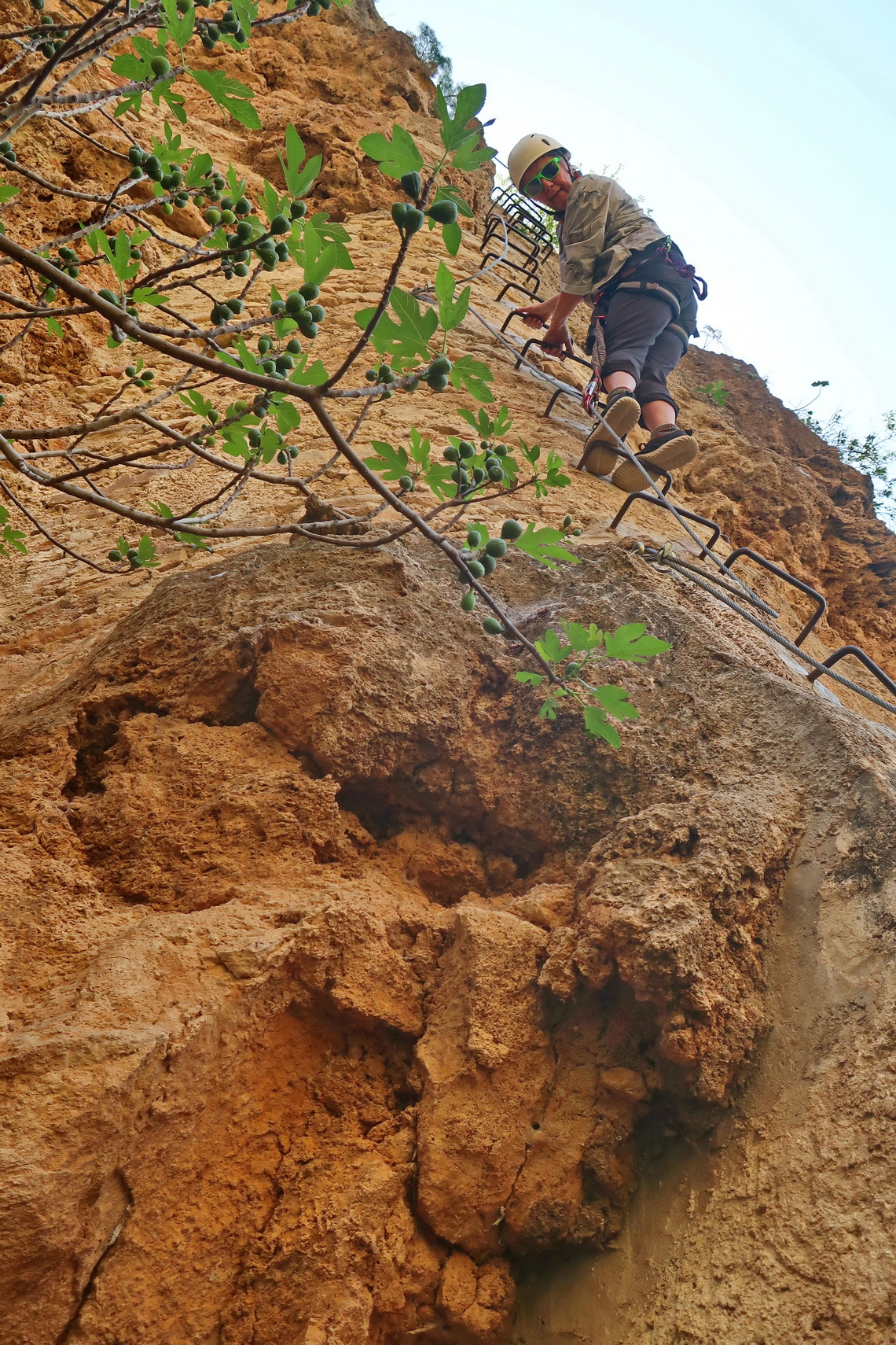 Marion in the airy Via Ferrata Tajo Ronda II with a fig tree in the foreground 