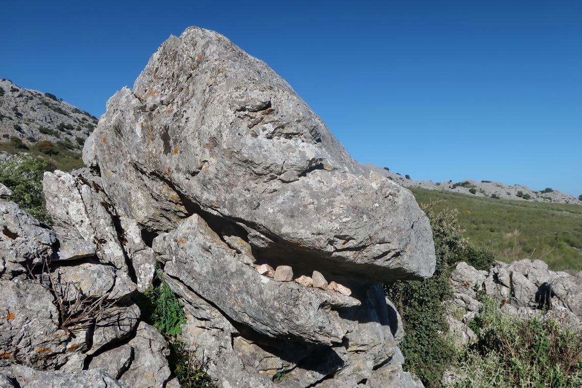 Head of a Dinosaur? on the way down of Sierra de los Pinos