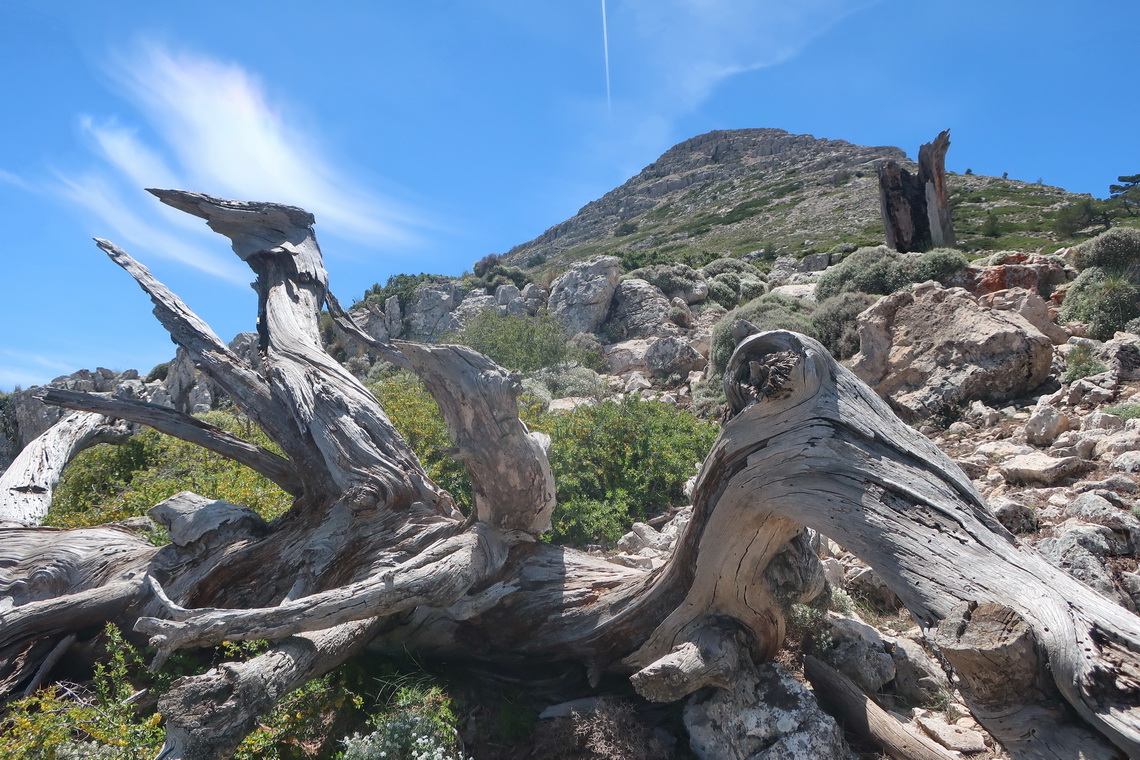 Northeast summit of La Sagra