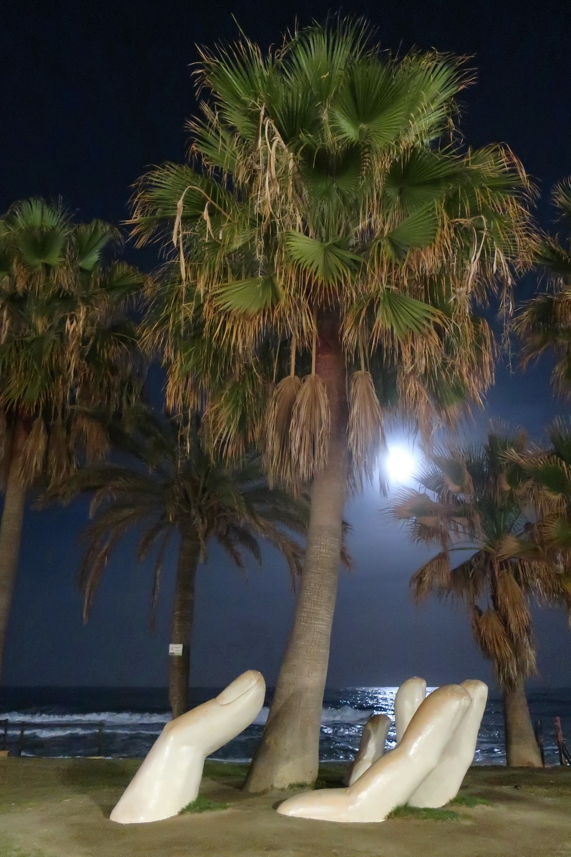 Fingers on the beach Playa de Santa Amalia of Fuengirola at full moon