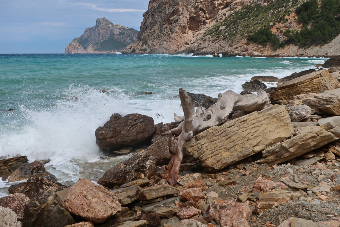 Wood and rocks on Cala Boquer