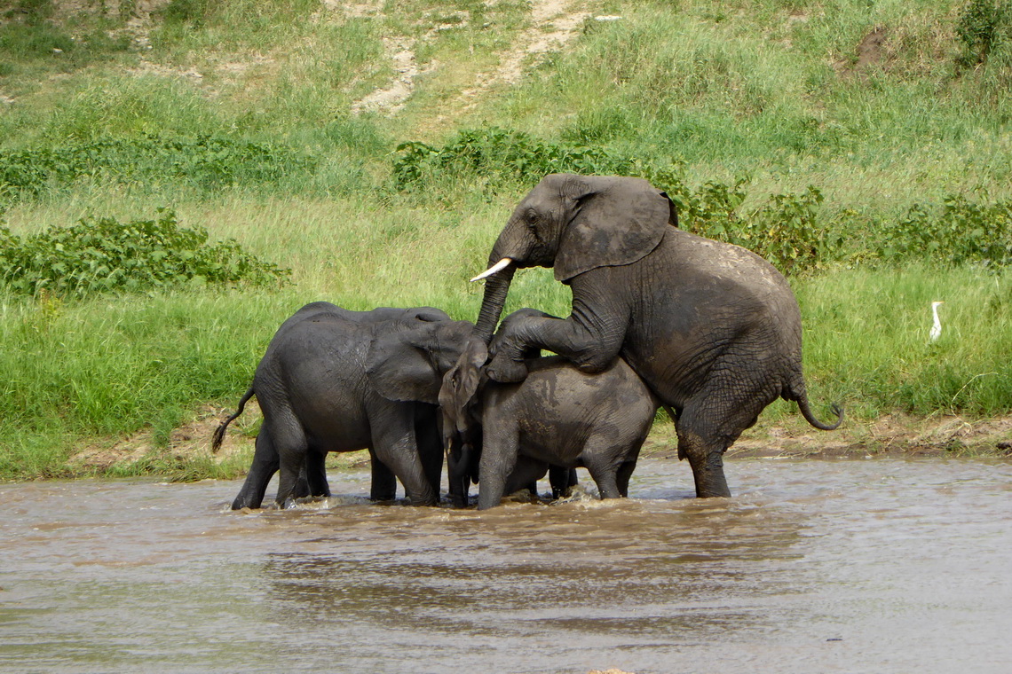 Playing in the water