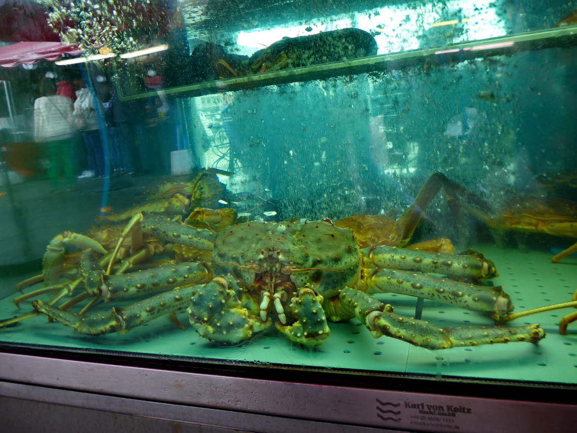 Prawn of the fish market Torget