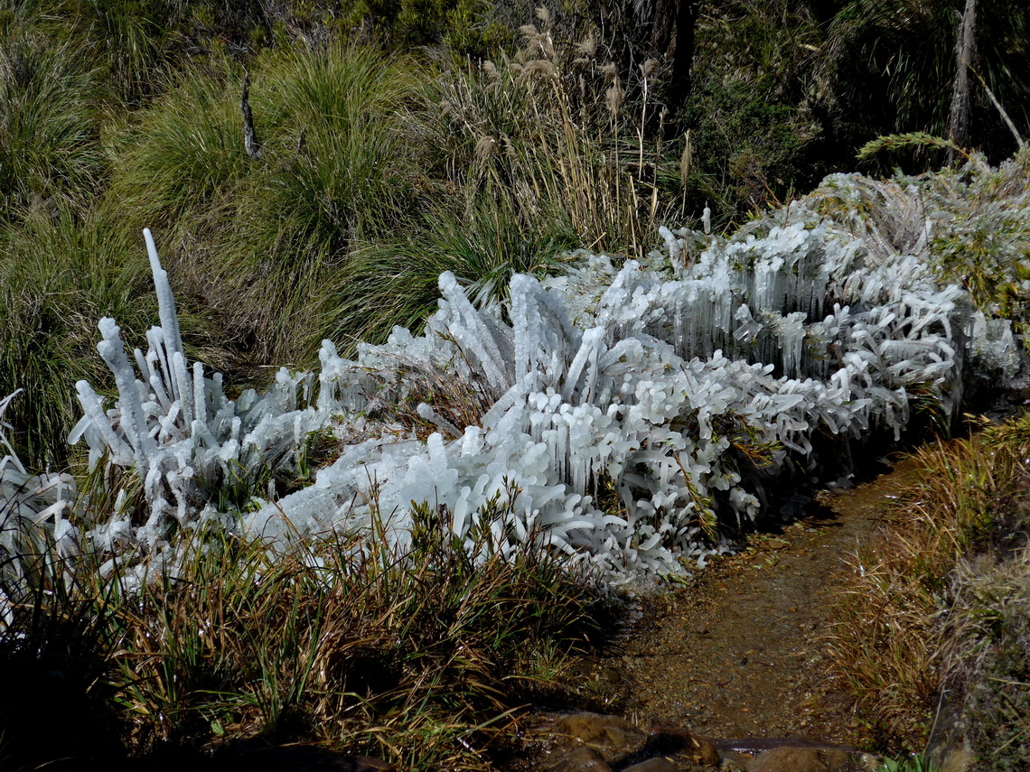 Unbelievable - Ice in Costa Rica, at approximately 3500 meters sea-level