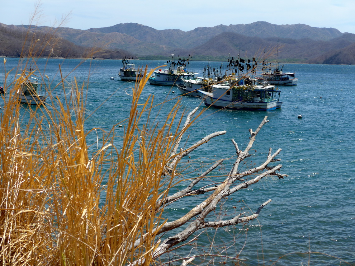 Port of Guajinquil