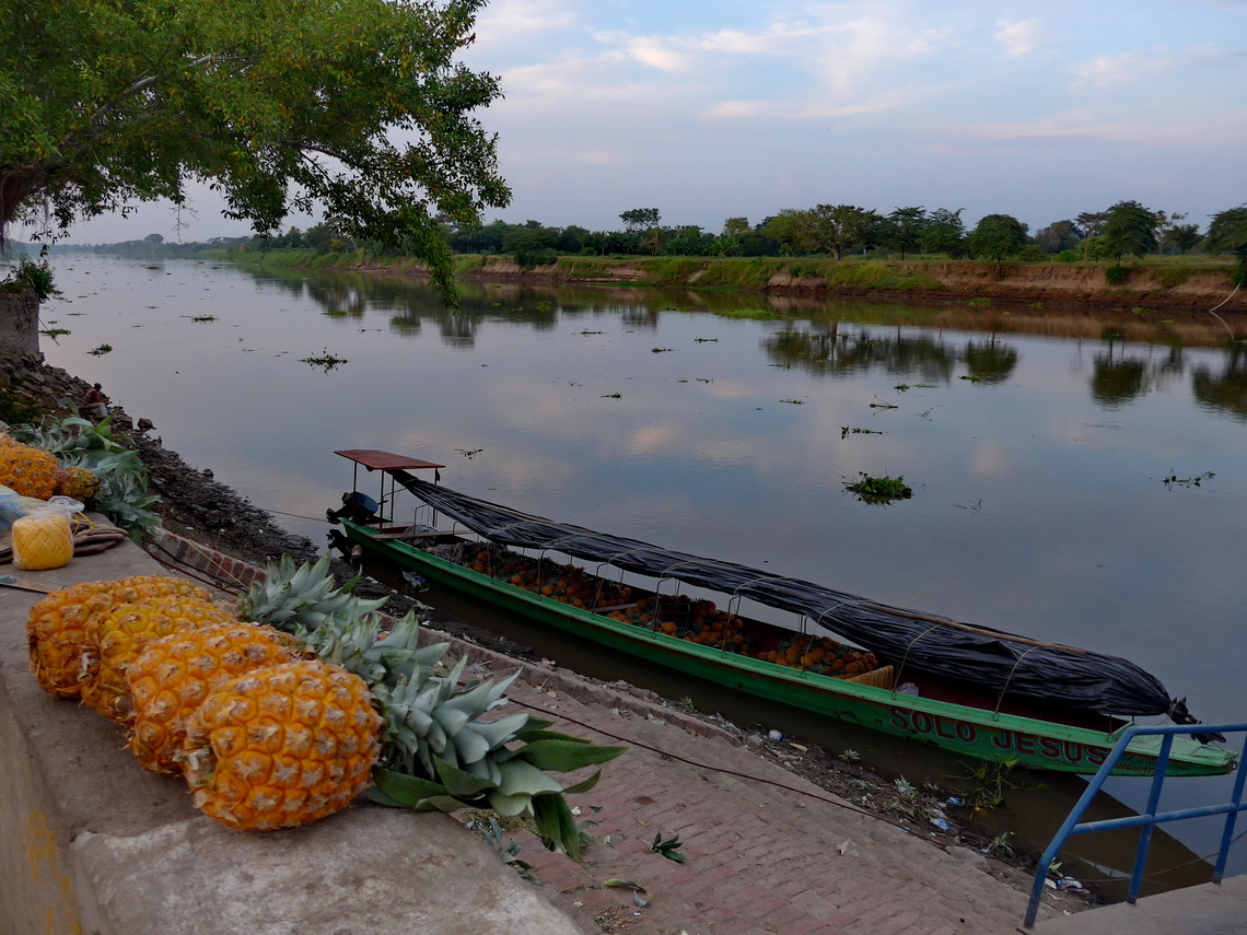 Pineapple cargo in Mompós with river Rio Magdalena
