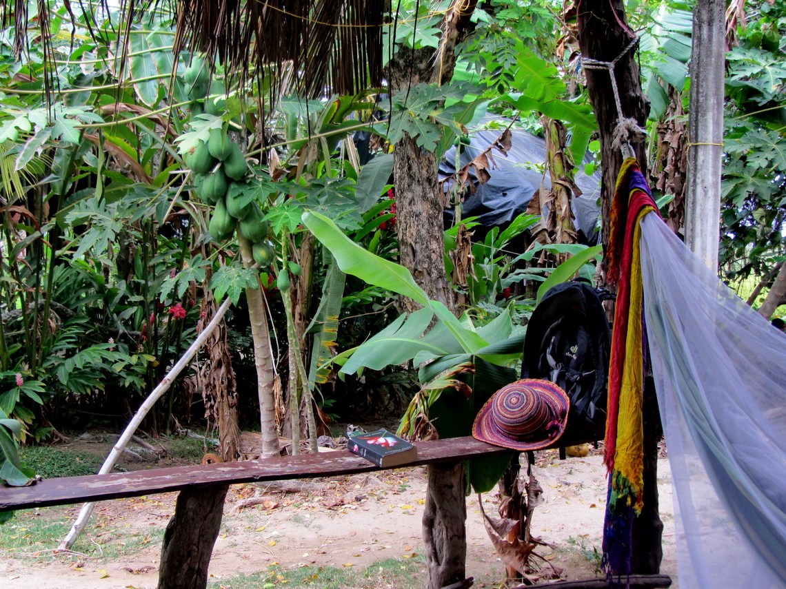 Our hammock in Arrecifes, where we slept three nights 	 	