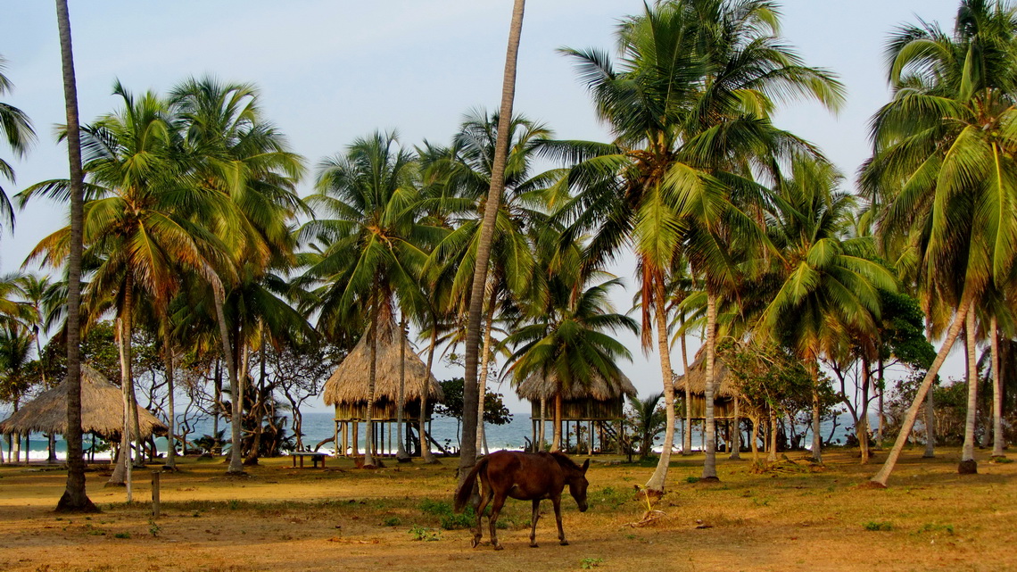 Playa Brava