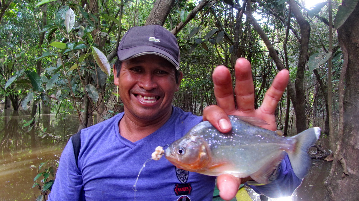 Ruben, our boatman with a piranha fished by himself