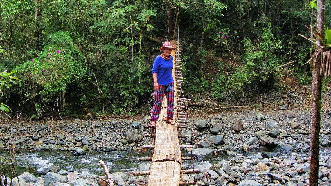 Suspension bridge over the river