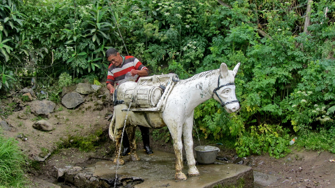 Donkey of the monastery