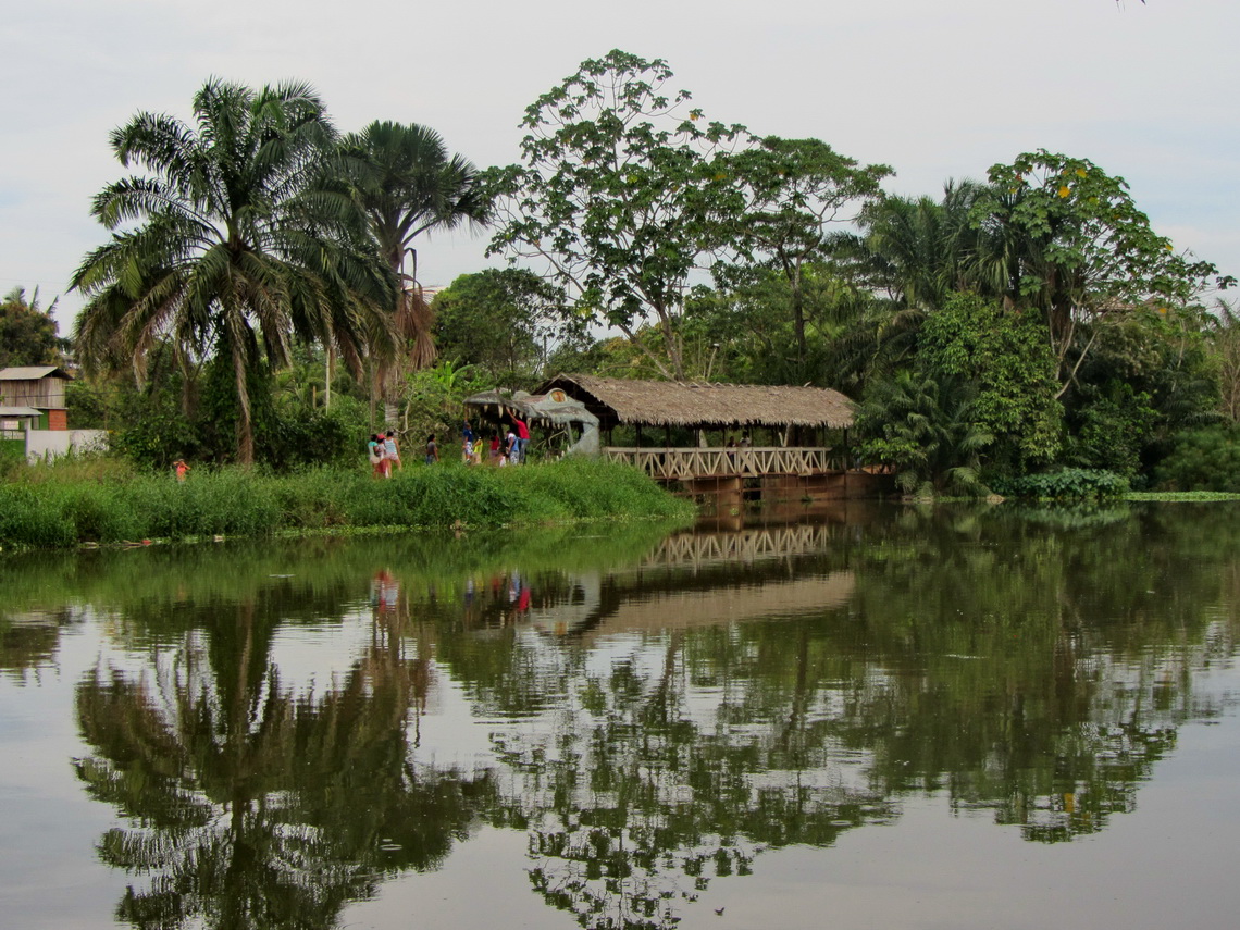 Artificial Crocodile in the Parque Natural Pucallpa