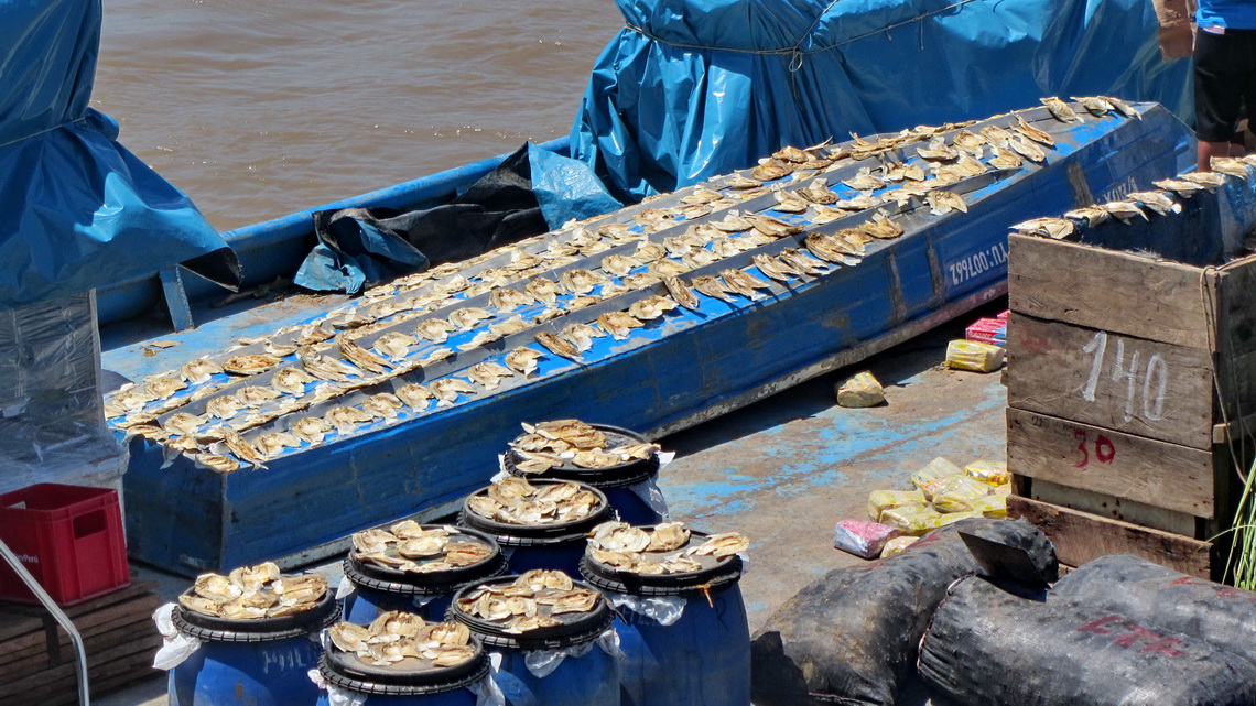 Drying fish on the towed ship