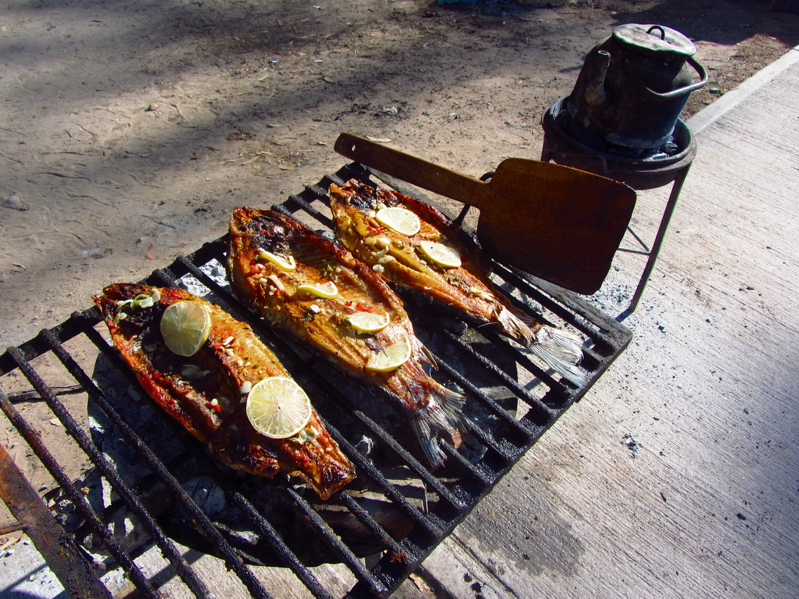 Grilled fish of Rio Honda