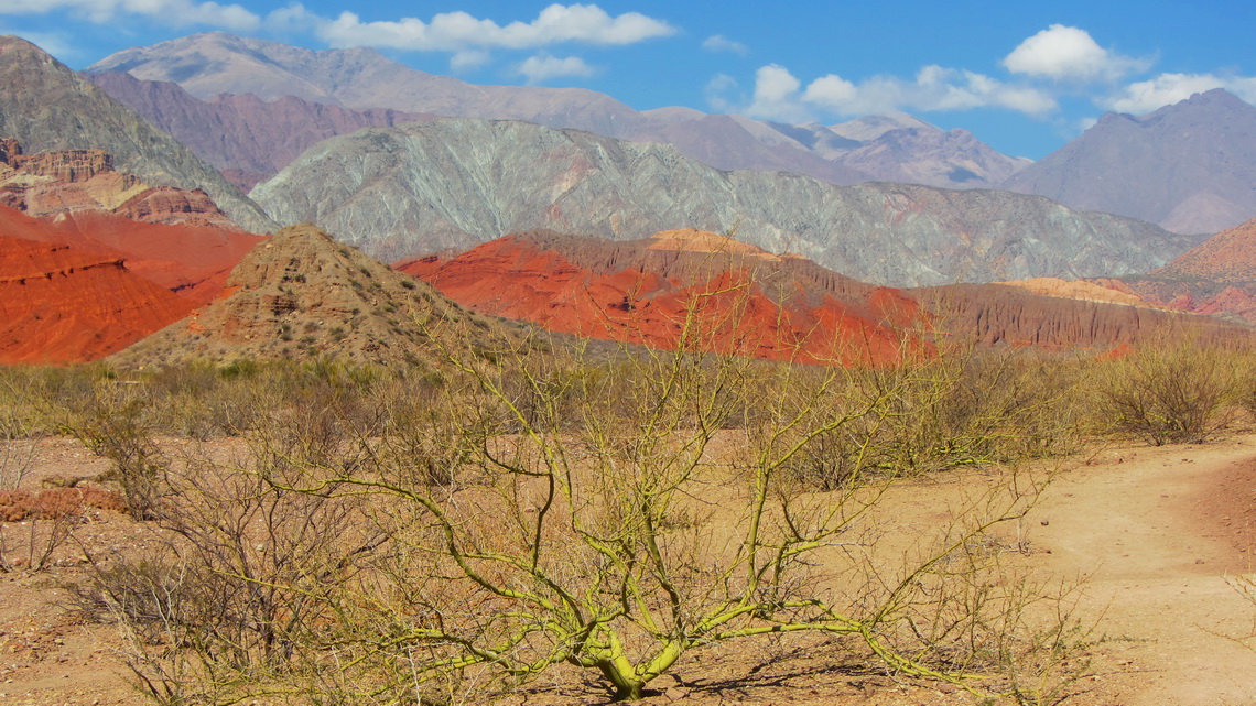 Green bush with brown, red and silver mountains