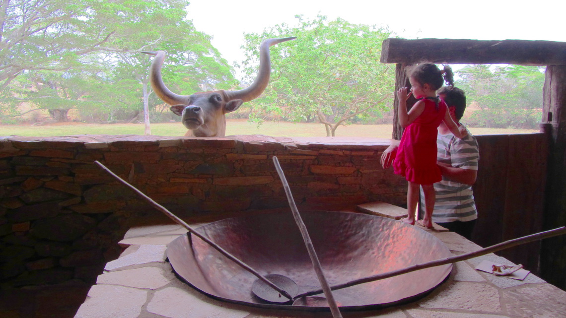 Little girl and big bull on the Fazenda Babilonia