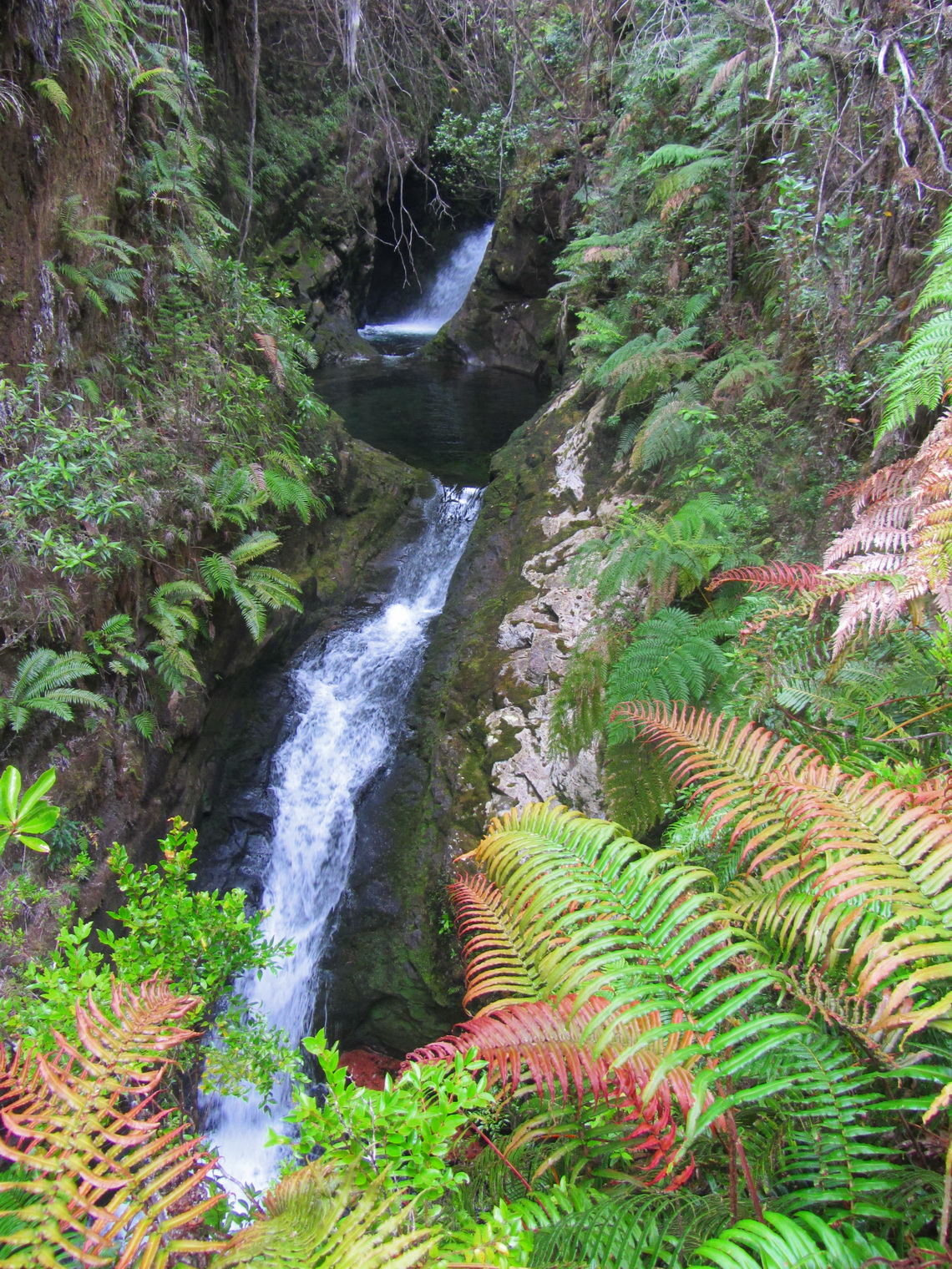 Another beautific waterfall of the Parque Pumalin