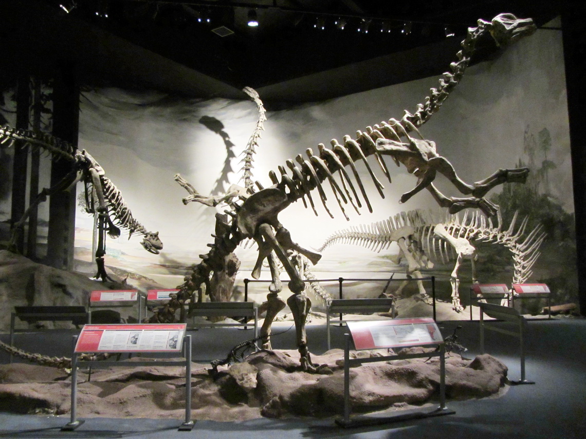 10 meters long Titanosaurus