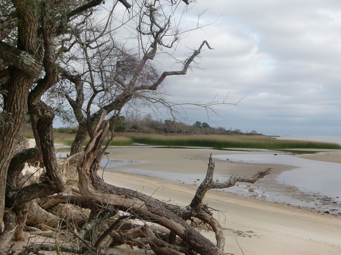 The beach of the Rio de la Plata