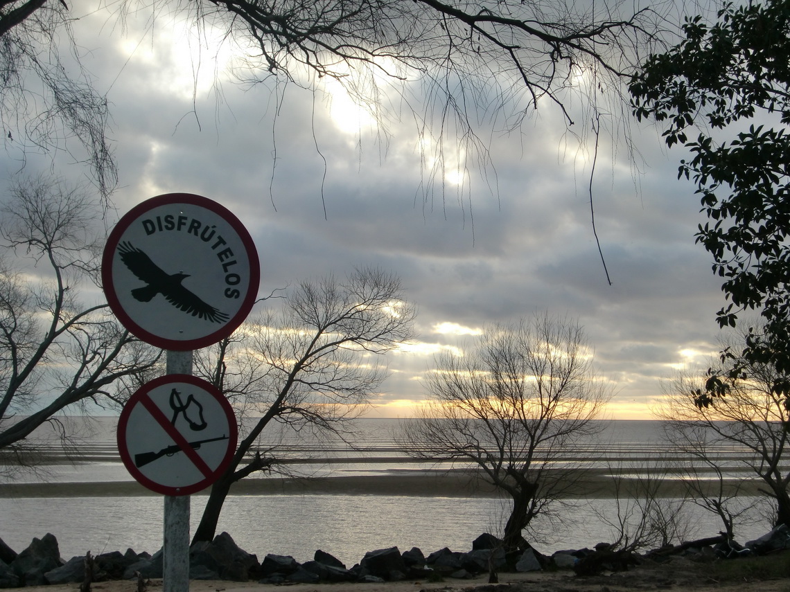 Shooting is not allowed on the beach