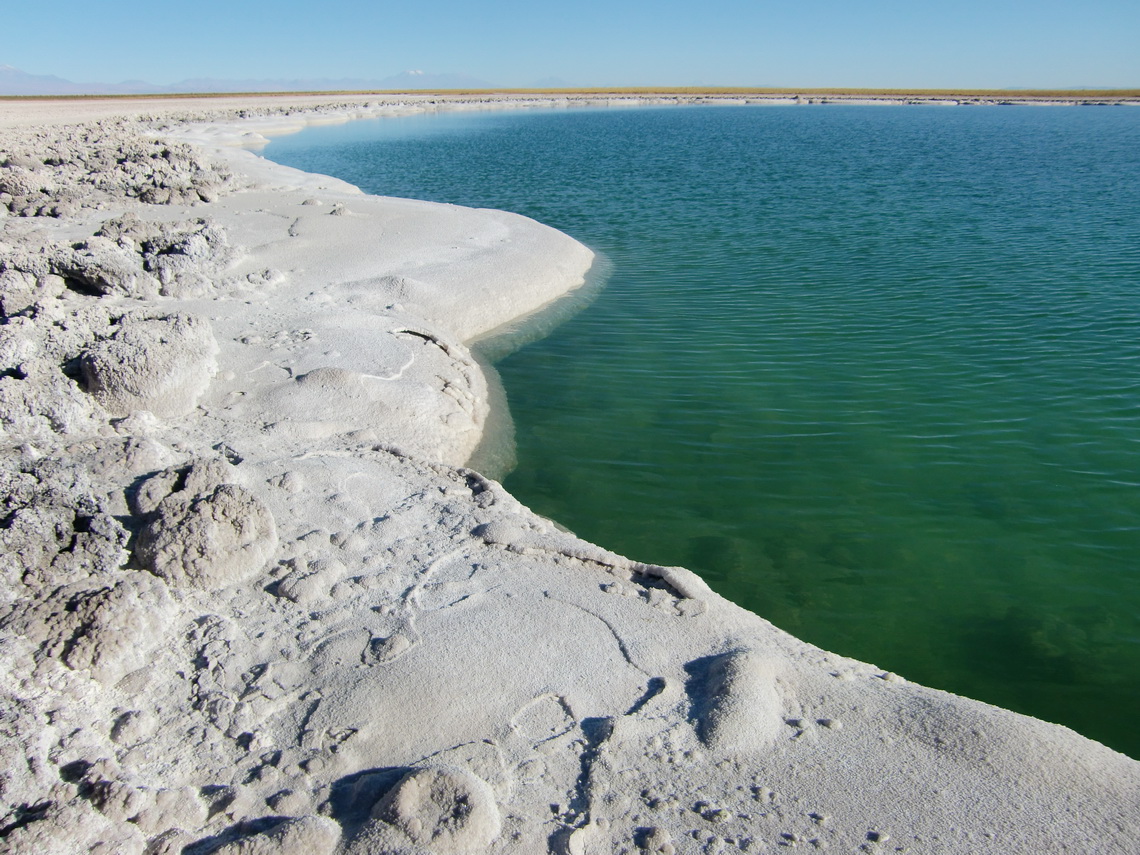Salt of Laguna Cejar