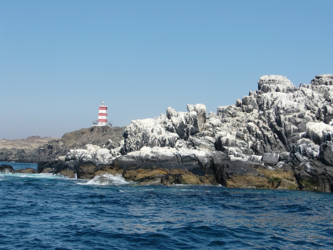 White rocks due to Guano (bird feces)