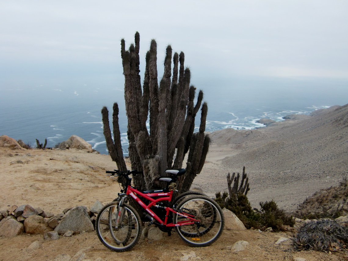 Our new mountain bikes 350 meters over the Pacific Ocean