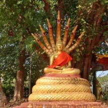 Naga Buddha Statue close to Wat That Kuang in Luang Prabang