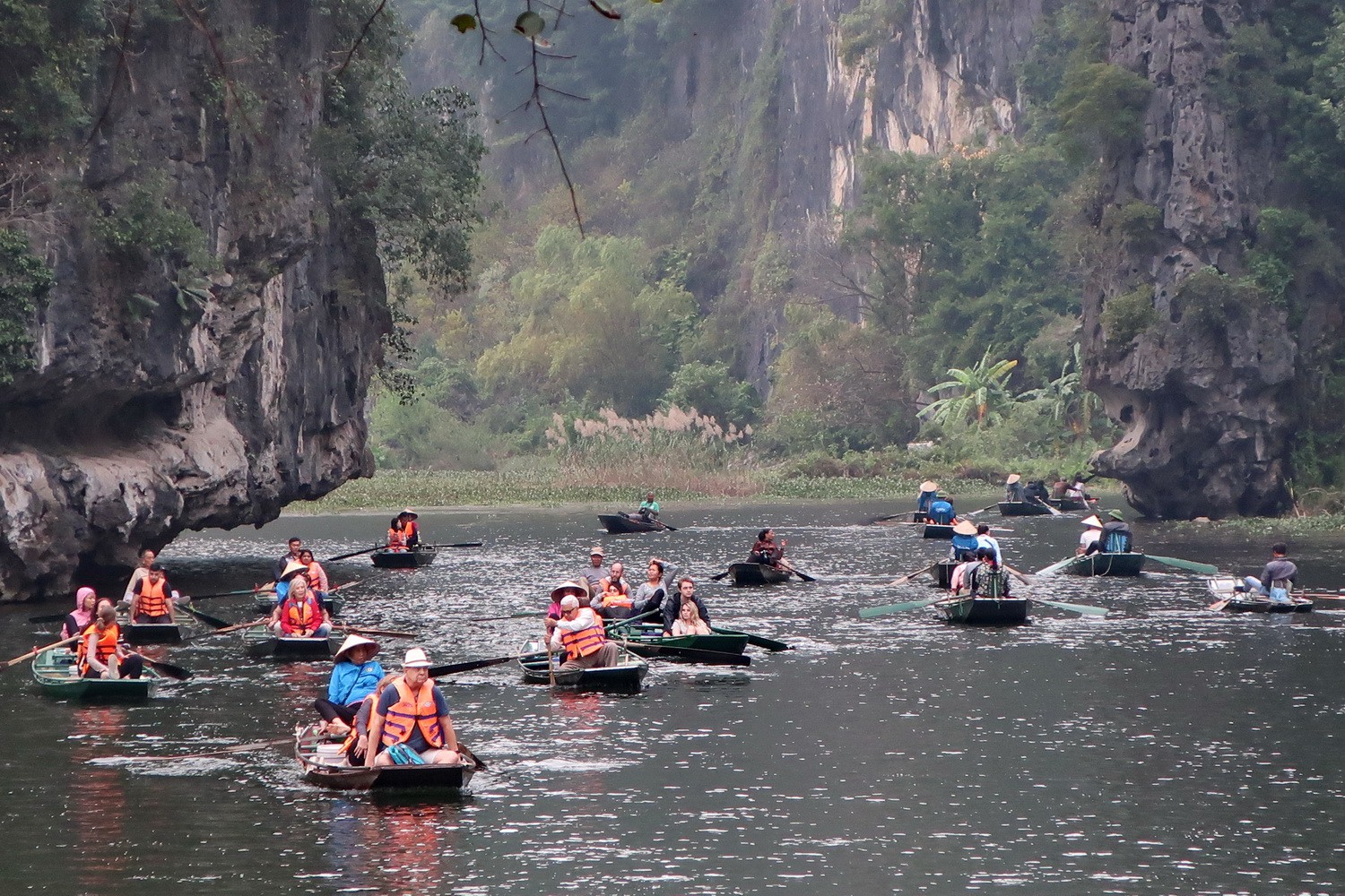 A lot of boats on Tam Coc River