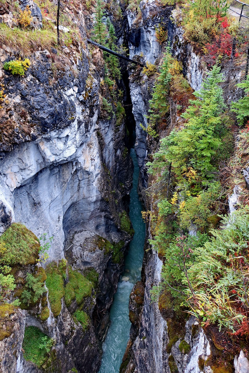Marble Canyon in the Kootenay National Park