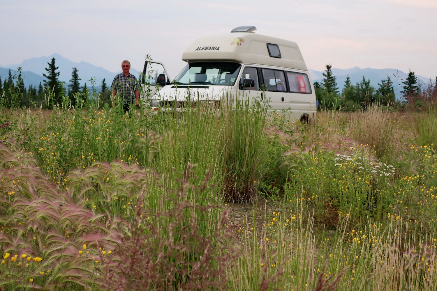 Campsite on the way to Denali National Park