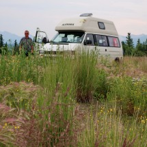 Campsite on the way to Denali National Park