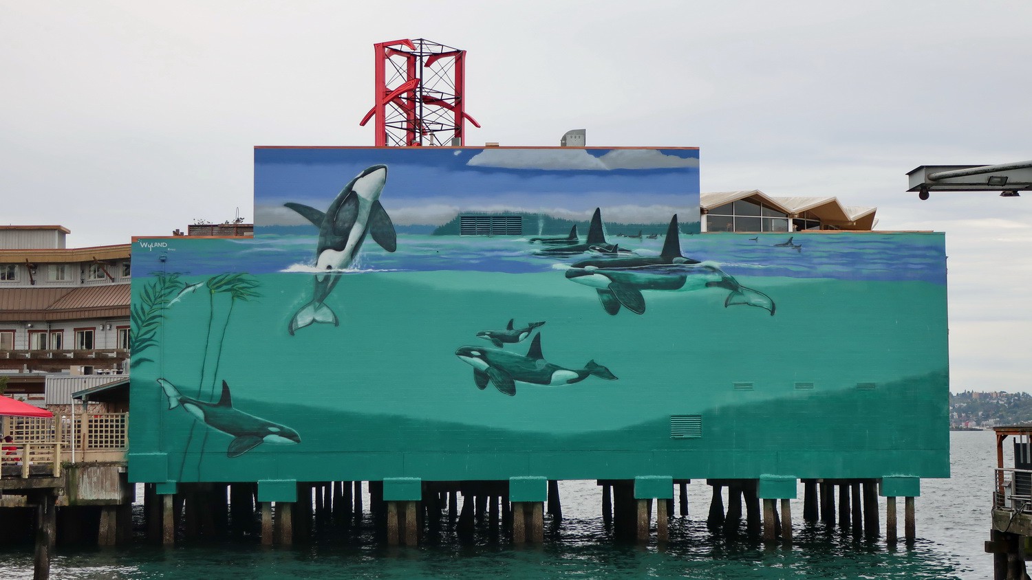 Killer Whales on the waterfront of Seattle