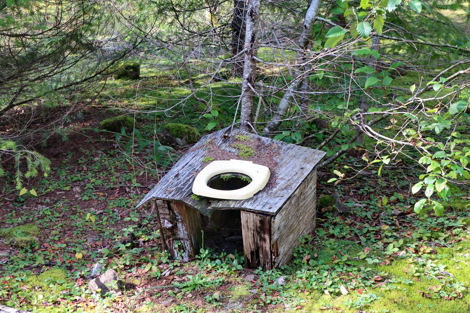 Toilet on the way to the Viewpoint Mount Saint Helens