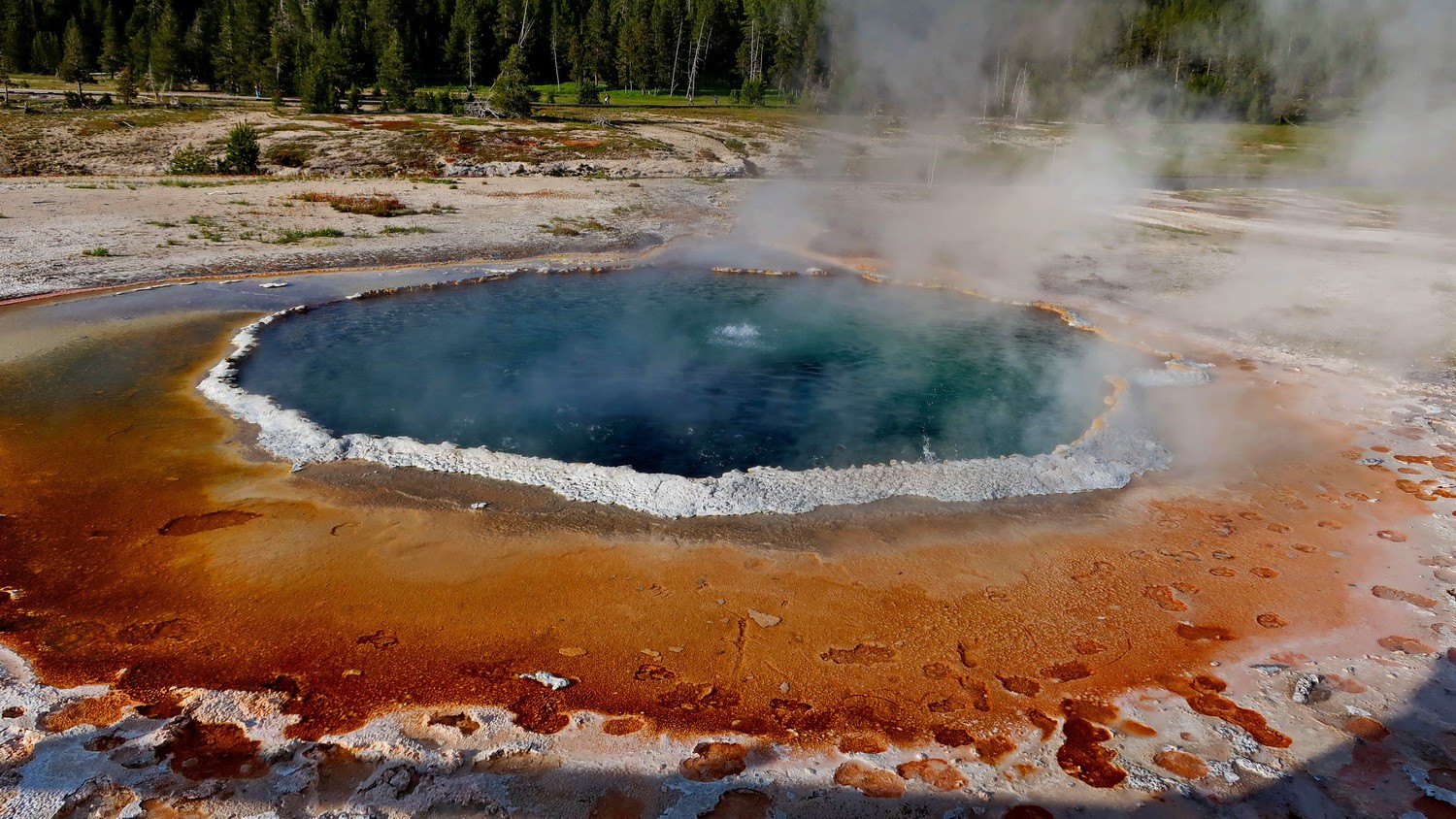 Crested Pool in the Upper Geyser Basin